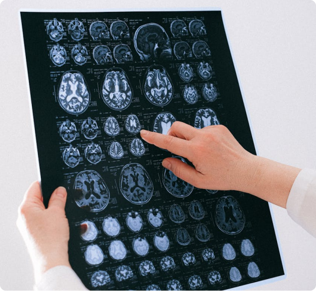 3D Brush Segmentation